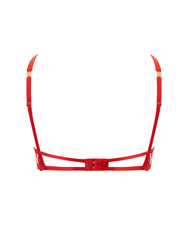 Lavanya Embroidered Longline Bra Red