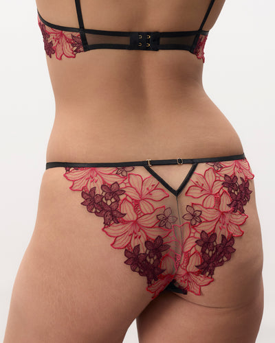 Calantha Floral Panty Cherry Lacquer/Virtual Pink